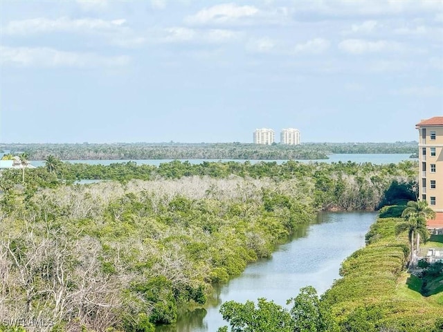 property view of water