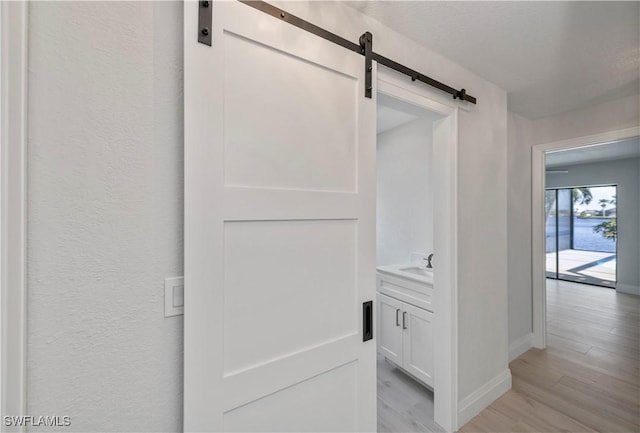 closet with a sink