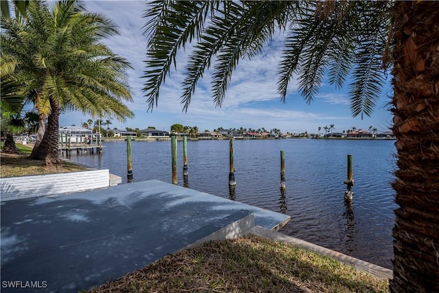 dock area with a water view