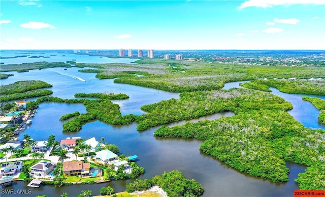 aerial view with a water view