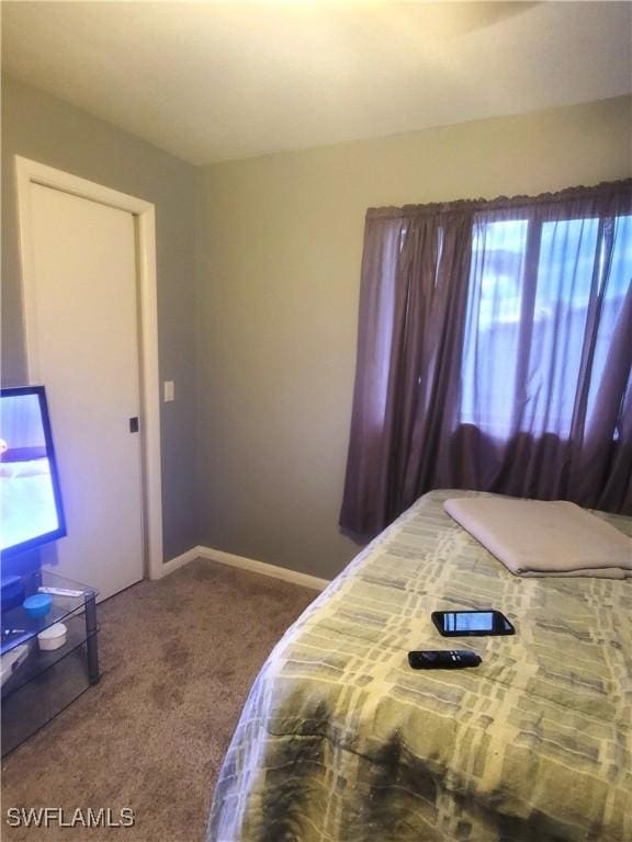 bedroom with carpet floors