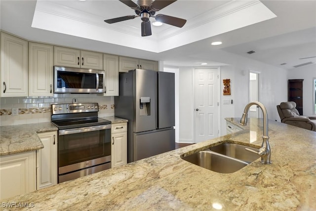 kitchen with a tray ceiling, sink, appliances with stainless steel finishes, and tasteful backsplash