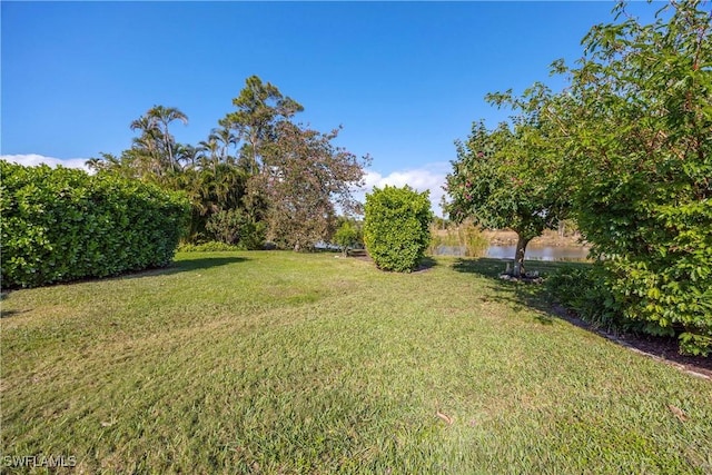 view of yard with a water view