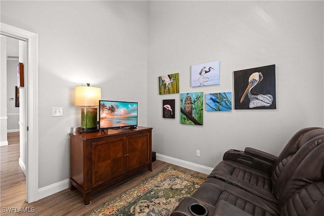 living room featuring hardwood / wood-style flooring