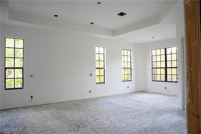 unfurnished room with a raised ceiling