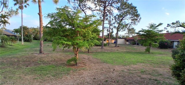 2056 Pine Isle Ln Unit 2056, Naples, FL 34112 - view of green lawn