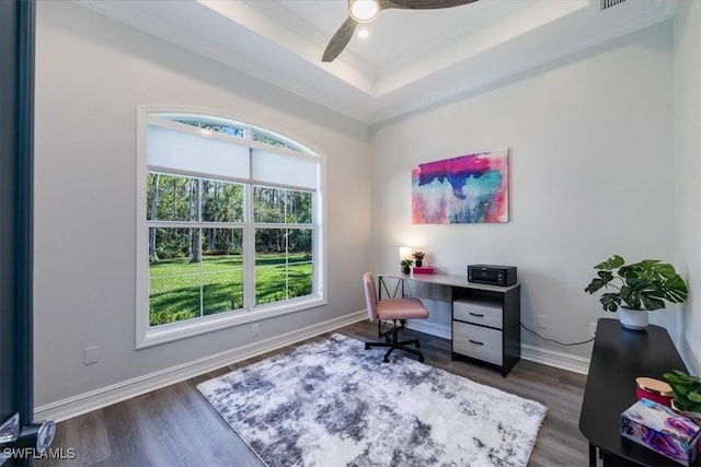 office area featuring ceiling fan, dark hardwood / wood-style floors, and a tray ceiling