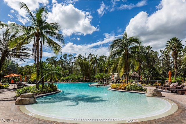 view of pool with a patio area