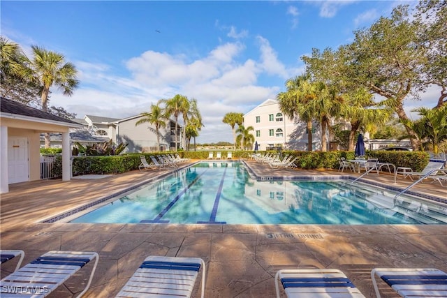 view of pool with a patio area