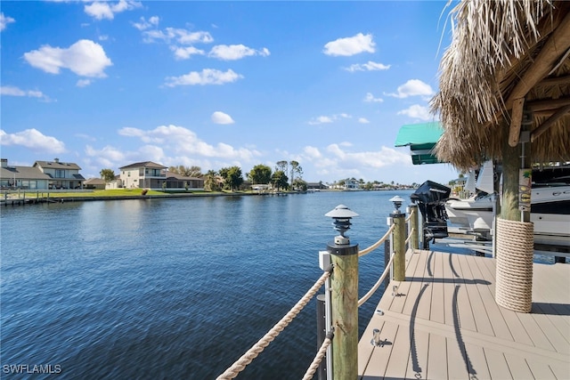 dock area with a water view