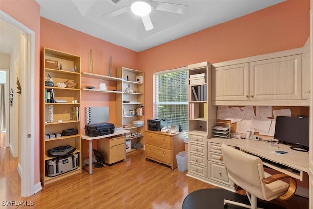 home office with ceiling fan and light hardwood / wood-style flooring