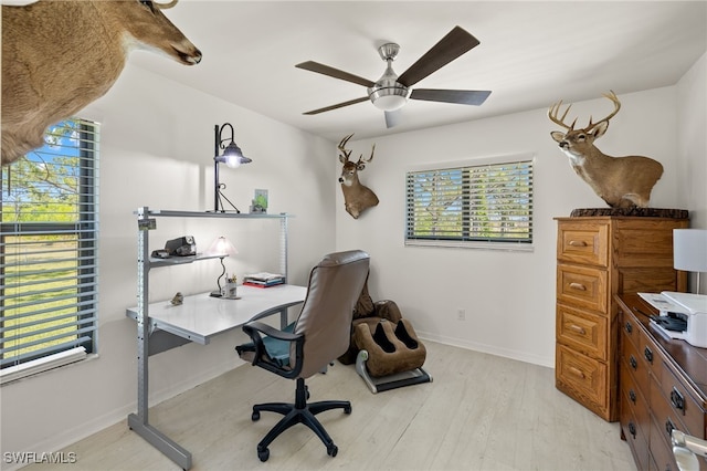 office with ceiling fan and light hardwood / wood-style flooring