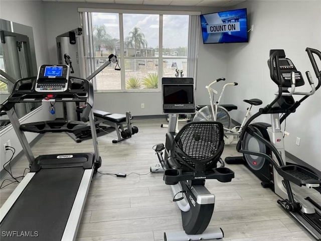 workout room featuring light hardwood / wood-style flooring