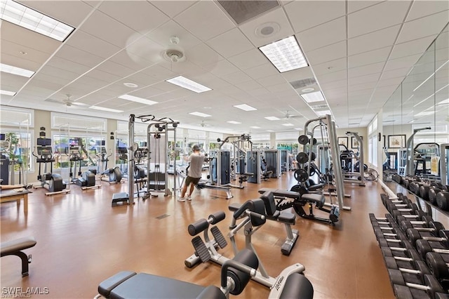 workout area with a drop ceiling and ceiling fan