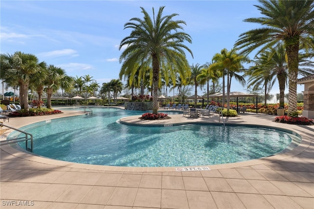 view of pool featuring a patio