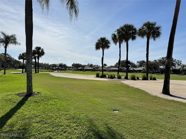 view of home's community with a lawn