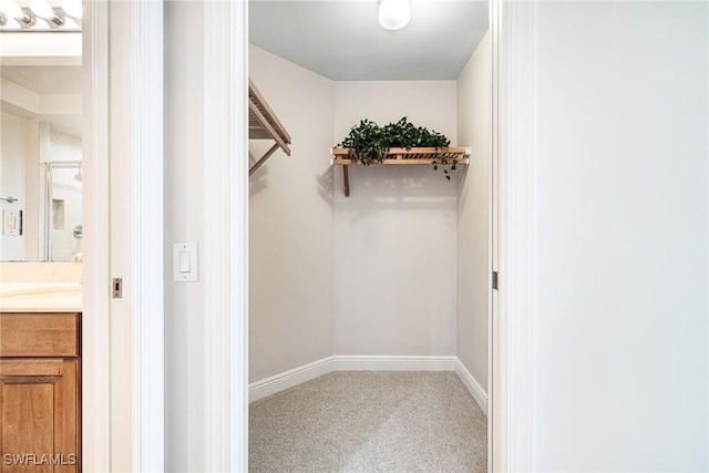 walk in closet featuring carpet flooring and sink