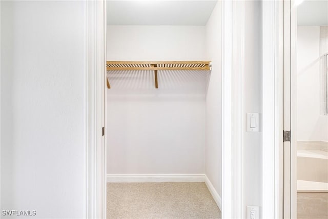 view of closet