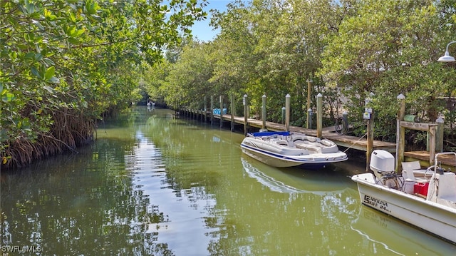 dock area with a water view