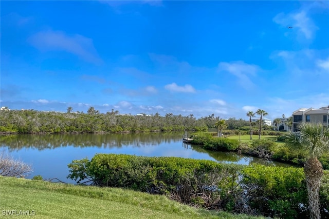 property view of water