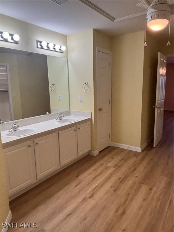 bathroom with wood-type flooring and vanity