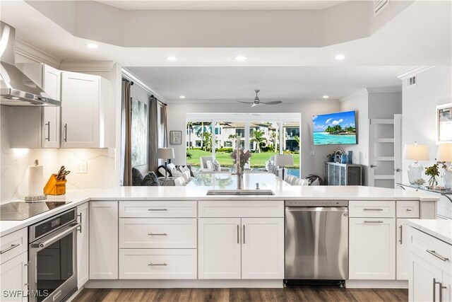 kitchen with white cabinets, ceiling fan, wall chimney exhaust hood, and appliances with stainless steel finishes