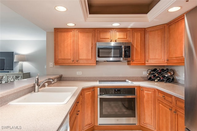 kitchen featuring a raised ceiling, crown molding, sink, and stainless steel appliances