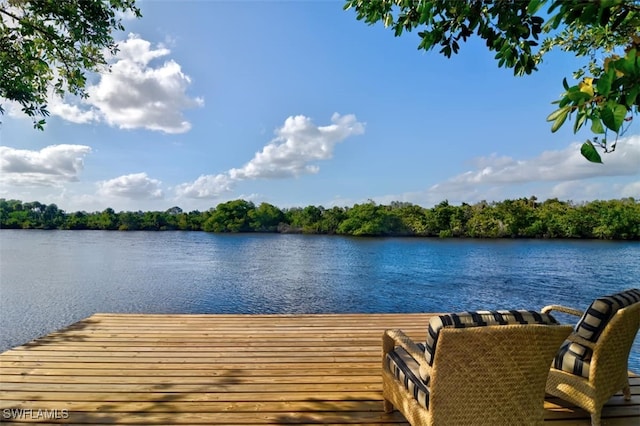 dock area featuring a water view