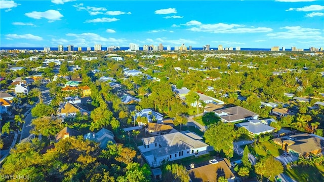 bird's eye view