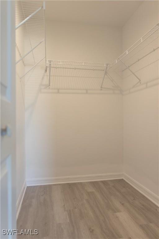 walk in closet featuring hardwood / wood-style floors