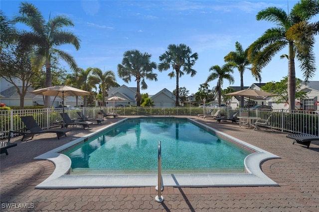 view of swimming pool with a patio area