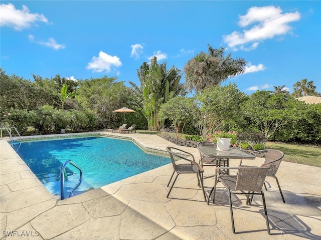 view of pool featuring a patio