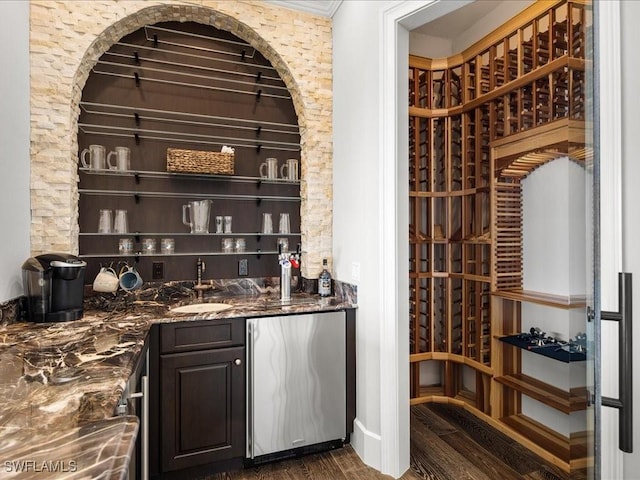 wine area featuring dark wood-type flooring and wet bar