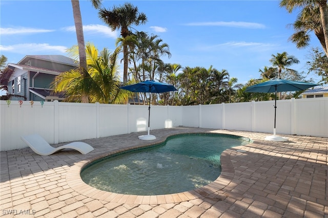 view of pool with a fenced backyard, a fenced in pool, and a patio