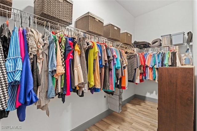 spacious closet featuring wood-type flooring