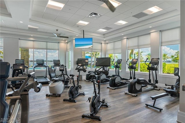 gym with ceiling fan, a wealth of natural light, hardwood / wood-style floors, and a drop ceiling