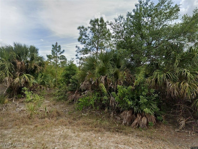 2517 Catron Cir, Lehigh Acres FL, 33971 land for sale