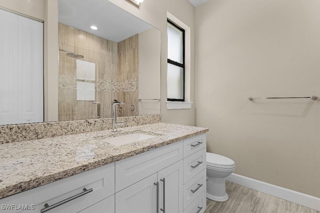 bathroom with a shower, vanity, and toilet