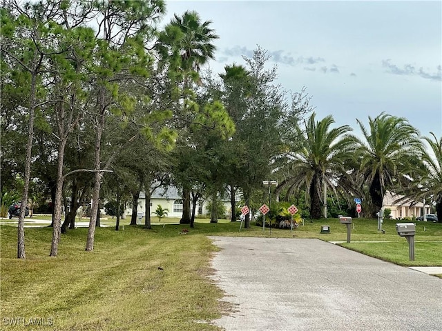 surrounding community featuring a yard