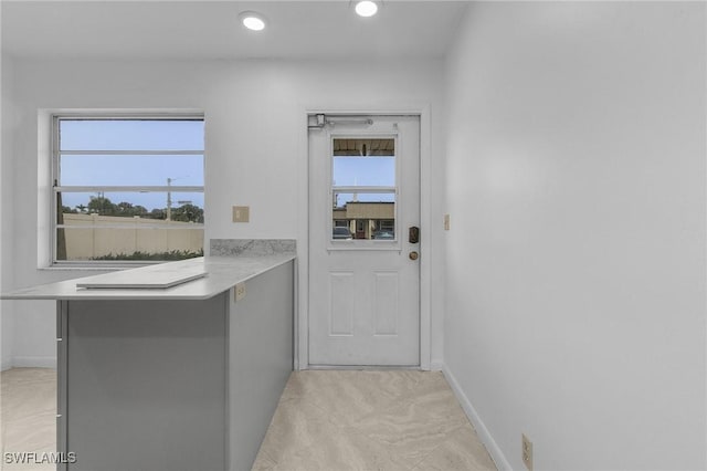 entryway with plenty of natural light