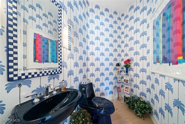 bathroom with hardwood / wood-style floors, toilet, and sink