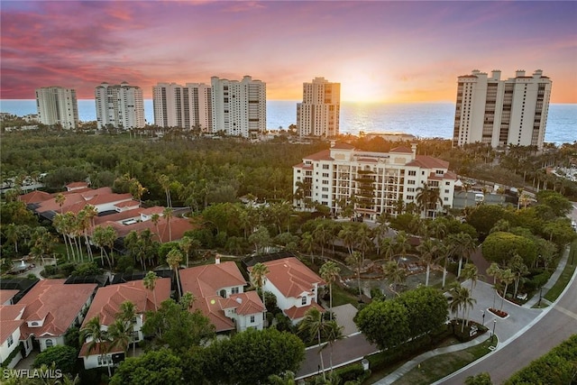 aerial view at dusk featuring a water view