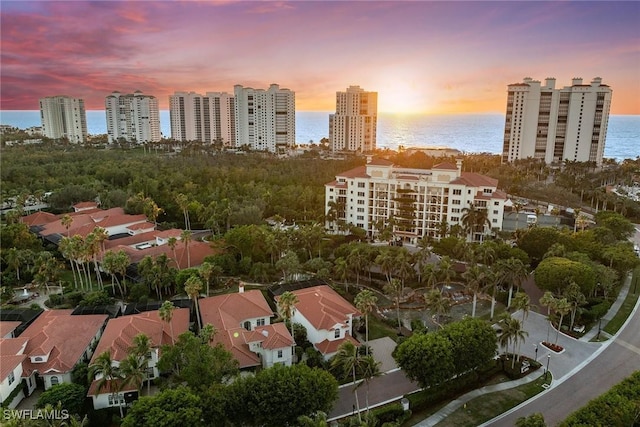 8723 La Palma Ln, Naples, FL 34108 - view of urban area featuring a large body of water