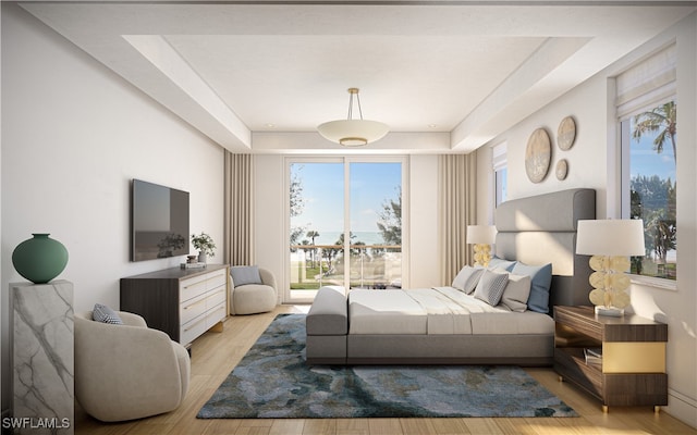 bedroom featuring a raised ceiling, light hardwood / wood-style flooring, access to outside, and multiple windows