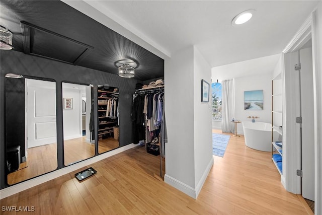 walk in closet featuring light wood-style floors