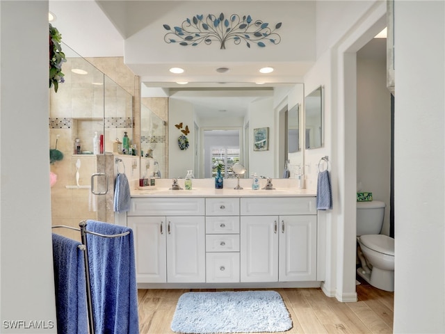 bathroom with vanity, toilet, wood-type flooring, and walk in shower