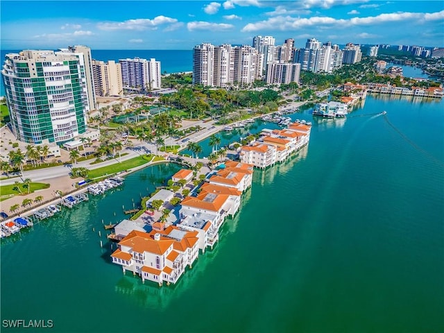 aerial view with a water view