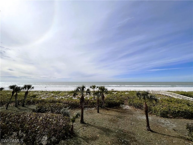 view of water feature with a beach view