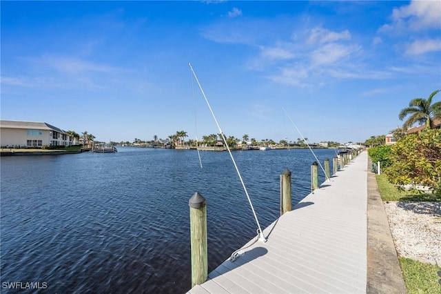 dock area with a water view