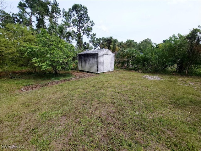 view of yard featuring a shed